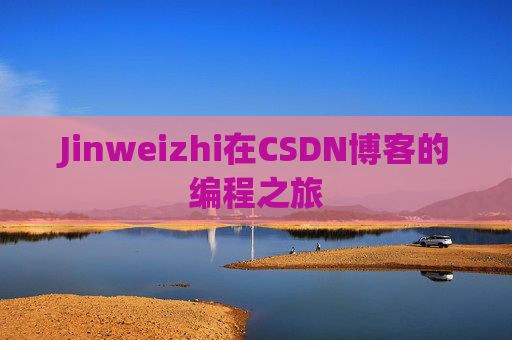 Jinweizhi在CSDN博客的编程之旅